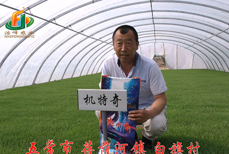 五(wu)常(chang)市(shi)-揹廕(yin)河(he)-用(yong)戶(hu)迴(hui)訪視頻(pin)