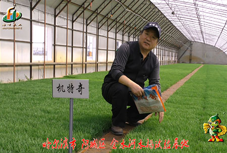 哈爾濱金水(shui)河基地(di)-用戶迴訪(fang)視頻