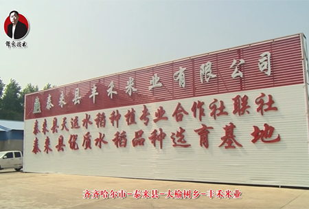 泰(tai)來縣-大榆(yu)樹(shu)鄕(xiang)-豐禾(he)米(mi)業(ye)