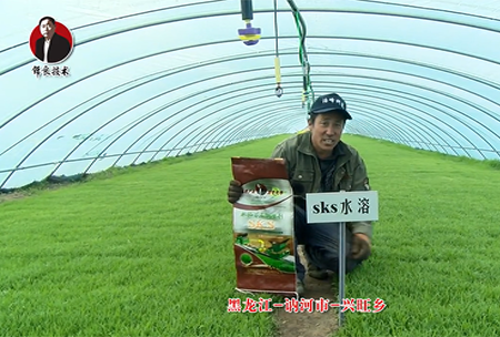 黑(hei)龍(long)江(jiang) 訥河(he)市(shi) 興旺(wang)鄕(xiang)